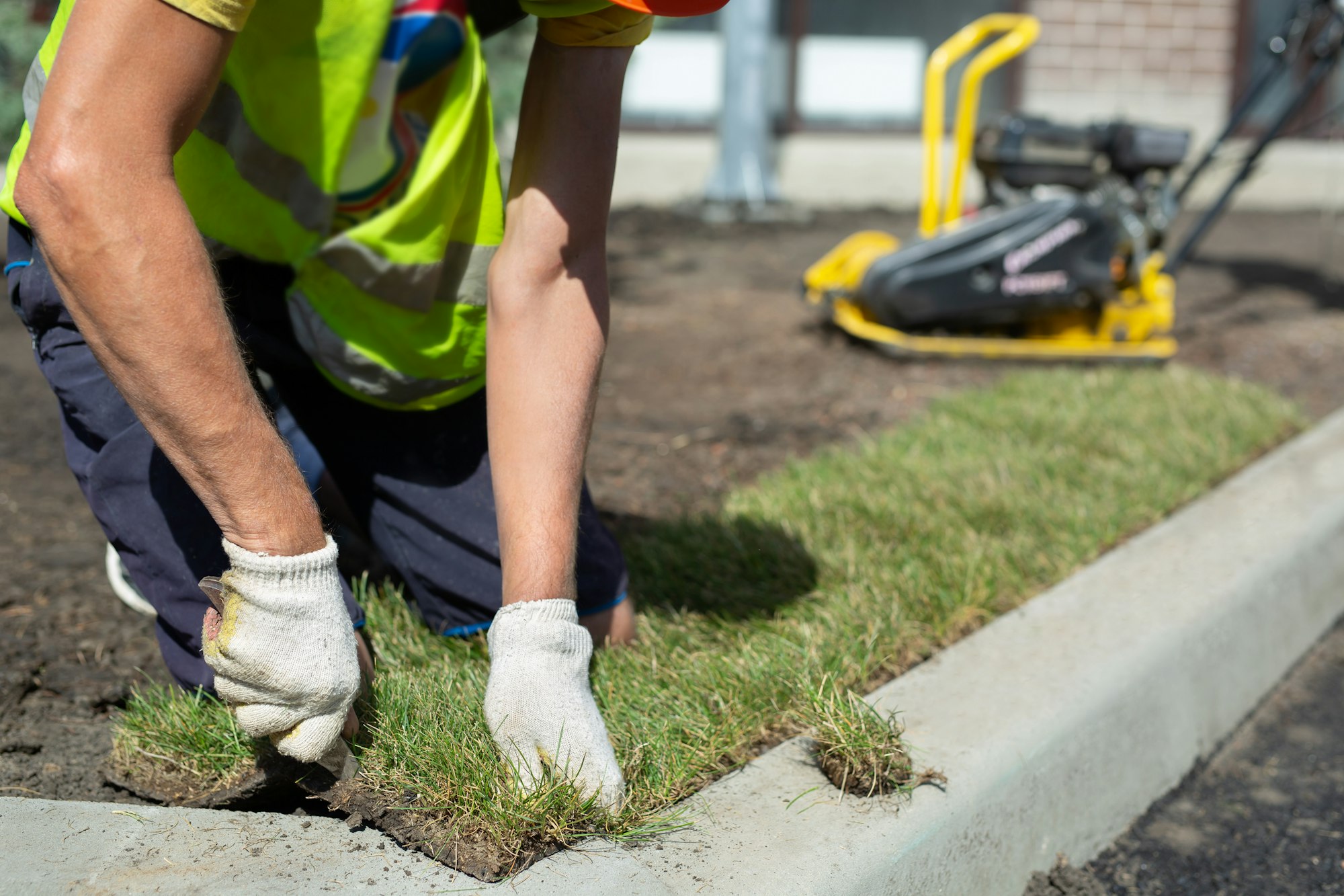 A landscape gardener is laying turf for a new lawn. Rolled lawn.